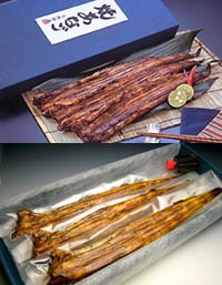 対馬産朝焼あなご